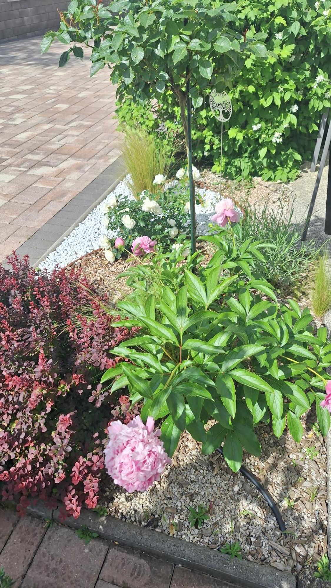 Guest House Flora Pazin Luaran gambar